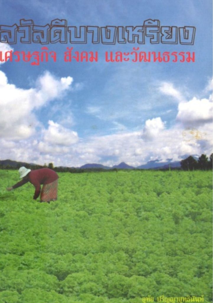 สวัสดีบางเหรียง: เศรษฐกิจ สังคม และวัฒนธรรม